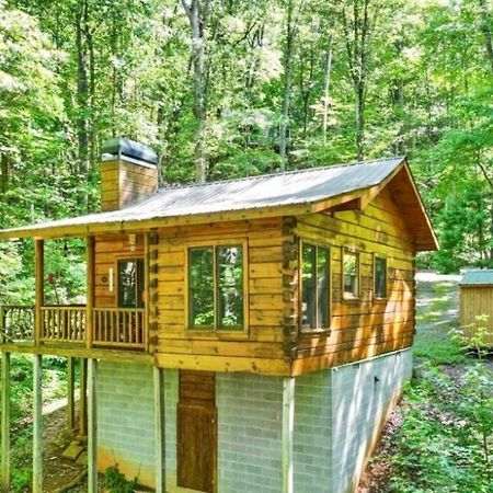 Open Studio Lodge At Little Rock Creek Cherry Log Exteriör bild