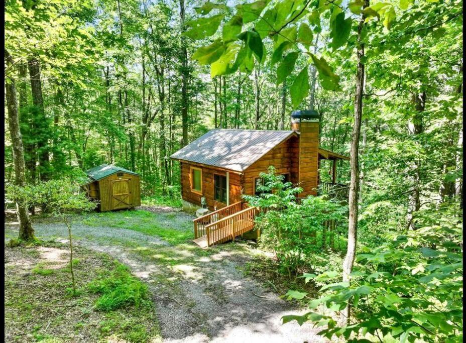 Open Studio Lodge At Little Rock Creek Cherry Log Exteriör bild